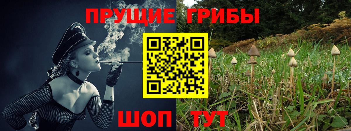 Галлюциногенные грибы Psilocybe  Вход с VPN  Елец 
